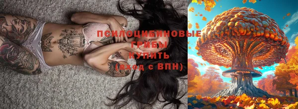 трава Протвино